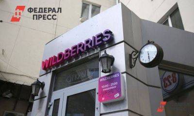 Годовалый ребенок случайно потратил на Wildberries 150 тысяч рублей