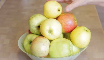 Пролежат аж до весны: как продлить срок годности осенних яблок