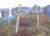 Житель Витебска выдрал из могилы самоубийцы крест и отнес за ограду - udf.by - Витебск