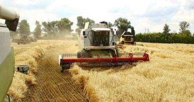 Без хлеба не останемся: украинские аграрии собирают рекордный урожай зерновых