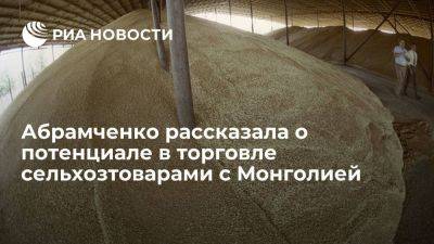 Абрамченко: РФ видит большой потенциал в торговле сельхозтоварами с Монголией