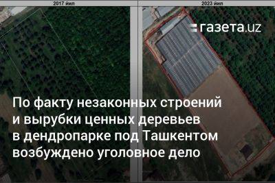 По факту незаконных строений и вырубки ценных деревьев в дендропарке под Ташкентом возбуждено уголовное дело
