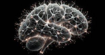 Ученые смогли регенерировать мозг: для этого они использовали уникальные клетки-трансформеры