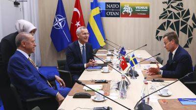 Эрдоган одобрил заявку Швеции на членство в НАТО