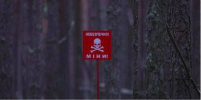 С 24 февраля в Украине погибли от мин более 250 мирных жителей — ГСЧС