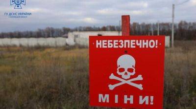 В ГСЧС рассказали, сколько людей погибло от мин в Украине с начала вторжения рф