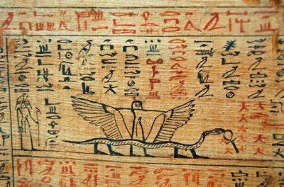 ​Ученые нашли данные о вымерших ядовитых змеях Древнего Египта - фото