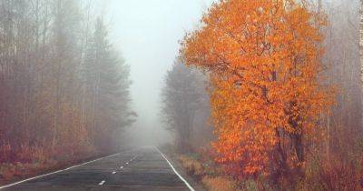 Погода в Украине 24 октября: утром туман, местами пройдут дожди (КАРТА)