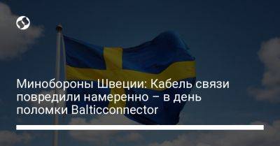 Минобороны Швеции: Кабель связи повредили намеренно – в день поломки Balticconnector