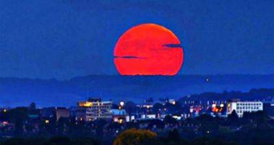 Жители Украины смогут наблюдать «кровавую» Луну: её можно будет в ночь с 28 на 29 октября - cxid.info - Украина