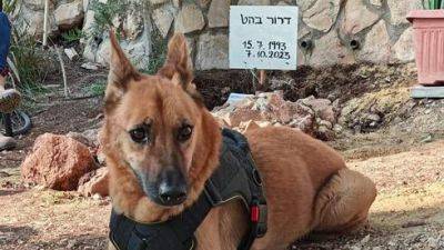 Пес Дрор две недели живет на могиле хозяина, убитого террористами ХАМАСа