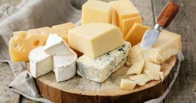 Твердый сыр: чем полезен, сколько можно есть и как влияет на вес, — диетолог