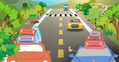 Свести с ума за 15 секунд: головоломка, которая покажет, насколько вы внимательны на дороге (фото)