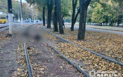 В Одессе трамвай насмерть сбил мужчину с собакой