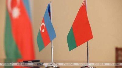 Органы финконтроля Беларуси и Азербайджана обменяются опытом в сферах семеноводства и мелиорации