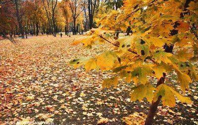 Вторник в Украине ожидается умеренно теплым: прогноз погоды на 24 октября