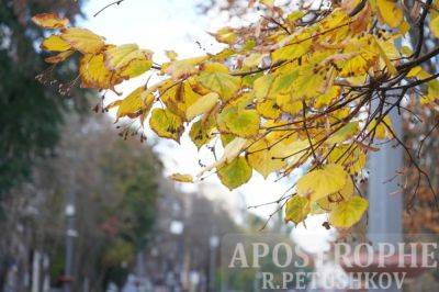 Золотая осень в Киеве - фото