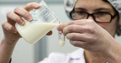 Разбавленное или настоящее: как в домашних условиях проверить качество молока