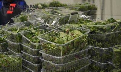 Новый кубанский комплекс по выращиванию и переработке салатной продукции заменит импорт