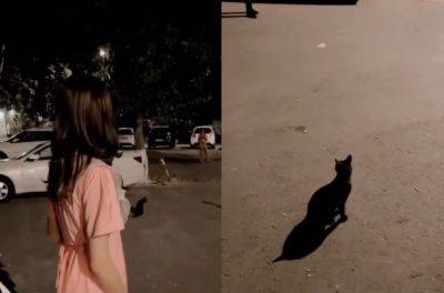 Черных кошек нужно душить – уроки воспитания молодой мамы в Ташкенте. Видео