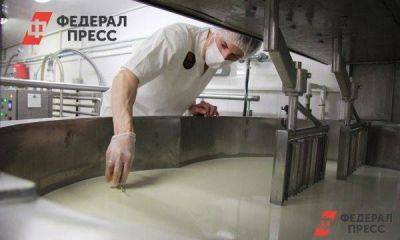 В Калининграде будут производить сыры «Моцарелла» и «Чеддер»