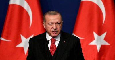 Эрдоган раскритиковал Израиль и отменил свой запланированный визит в страну