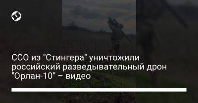 ССО из "Стингера" уничтожили российский разведывательный дрон "Орлан-10" – видео