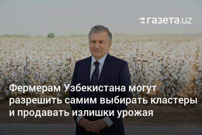 Фермерам Узбекистана могут разрешить самим выбирать кластеры и продавать излишки урожая