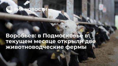 Воробьев: в Подмосковье в текущем месяце открыли две животноводческие фермы