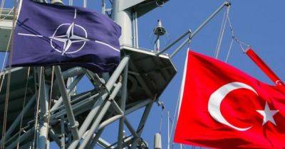 Парламент Турции поддержал членство Швеции в НАТО, но Венгрия еще сопротивляется, — СМИ