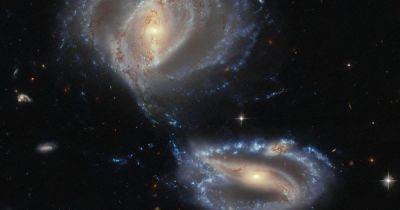 Космический телескоп Хаббл показал необычную группу галактик: здесь есть скрытый объект (фото)