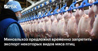 Минсельхоз предложил временно запретить экспорт некоторых видов мяса птиц