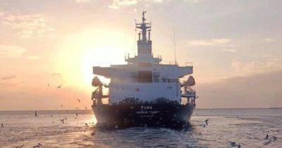 Блокирование судов в морском коридоре нужно немедленно прекратить, это жизненно важно для экономики, - глава ФРТУ