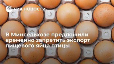 Минсельхоз предложил запретить на 6 месяцев экспорт пищевого яйца птицы