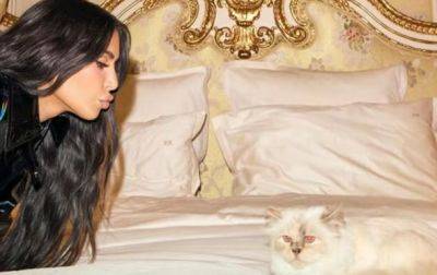 Ким Кардашьян рассказала, как на нее напала кошка известного дизайнера