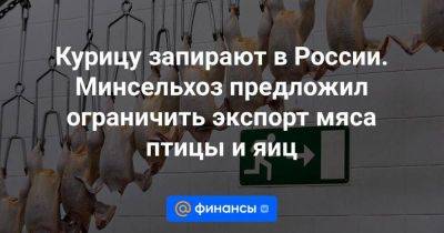 Курицу запирают в России. Минсельхоз предложил ограничить экспорт мяса птицы и яиц