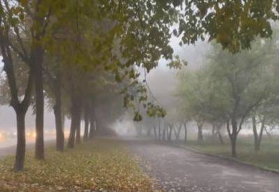 Будет мокро и очень сыро: синоптик Диденко предупредила о погоде на пятницу, 27 октября