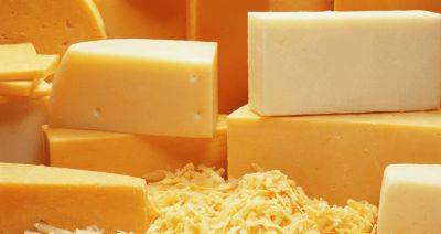Каждый 4-й килограмм сыра, который продается в России, — белорусского производства