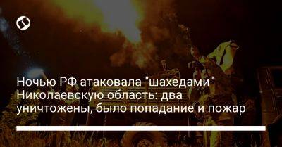 Ночью РФ атаковала "шахедами" Николаевскую область: два уничтожены, было попадание и пожар