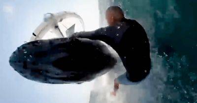 Чудом остался жив: горбатый кит выпрыгнул из воды и сбил серфингиста (видео)