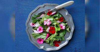 «А на десерт — засахаренные цветы герани»: это растение все чаще используется в кулинарии