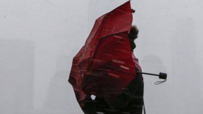 Штормовой ветер будет сносить все – оставайтесь дома: синоптик Диденко предупредила о погоде на субботу, 28 октября