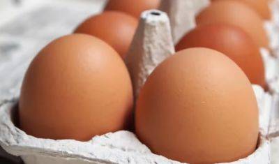 Холодильник не нужен: как правильно хранить куриные яйца, чтобы они не портились