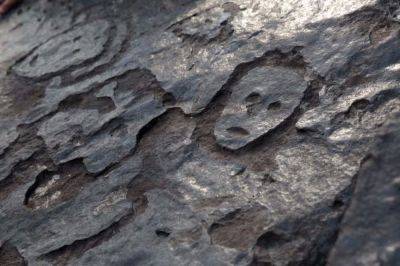 Найдены петроглифы на Амазонке – возраст примерно 2000 лет – фото