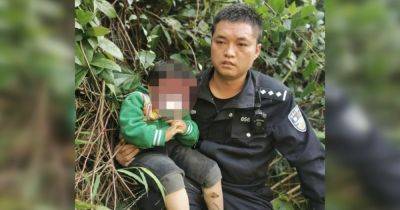 В Китае обезьяна похитила у родителей трехлетнюю девочку и утащила ее на скалу (фото) - focus.ua - Китай - Украина - шт. Индиана