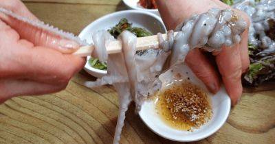 Самые опасные деликатесы в мире: "живое" щупальце осьминога "задушило" голодного мужчину