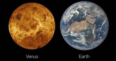 Здесь могла быть жизнь. Миллиарды лет назад Венера имела ключевую особенность Земли (фото) - focus.ua - Украина - New York