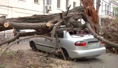 Деревья ломает, как спички: мощный ураган в Киеве натворил немало бед – кадры апокалипсиса