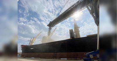 Зерновой коридор работает: Одессу покинули четыре судна