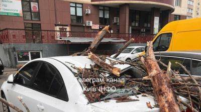Киев накрыл мощный ураган, есть жертва и травмированные